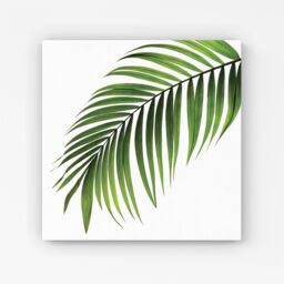 "Warren Reed - Designer Single Palm Leaf Canvas in Green - Size: W16"" x H16""" - thumbnail 1