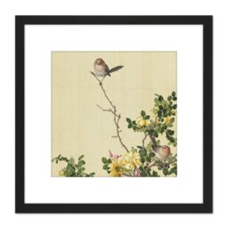 Artery8 Castiglione Canary Rose Bird Painting 8X8 Inch Square Wooden Framed Wall Art Print Picture with Mount in Black - thumbnail 1
