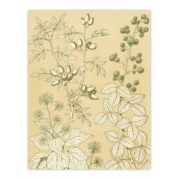 "Artery8 Wild Rose Ivy Blackberry Botanical Jones Vintage Wall Art Print Poster in Beige - Size: W12"" x H16""" - thumbnail 1