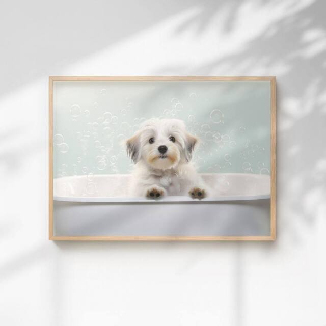 60 SECOND MAKEOVER Havanese In The Bath Quirky Animal Print - Size: A4 - image 1