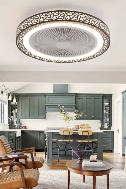 Living and Home Ceiling Mount Metal LED Fan Light - image 1