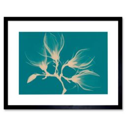 "Artery8 Wall Art Print Magnolia Branch Xray Blue Art Black Framed 9x7 inch - Size: W7"" x H9""" - thumbnail 1