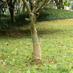 Berkfield Home Jute Roll 0.25x5 m 100% Jute 200 gsm - thumbnail 1