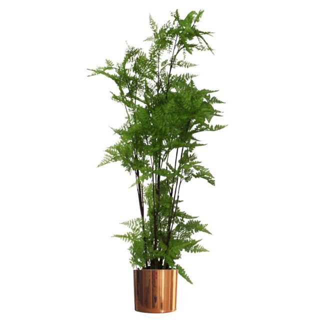 Leaf Artificial 150cm Moss Base Fern Foliage Plant with Copper Metal Plater in Green - image 1
