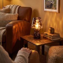 Happy Homewares Clear Glass Mushroom Table Lamp with Brown Speckle Snowflake Pattern - thumbnail 6