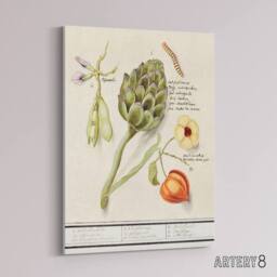 "Artery8 Artichoke Broad beans & Groundcherry de Boodt Canvas Wall Art Print in White - Size: W12"" x H16""" - thumbnail 2
