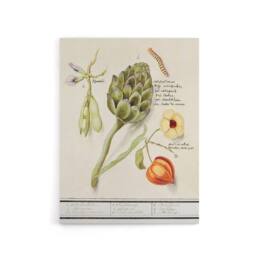 "Artery8 Artichoke Broad beans & Groundcherry de Boodt Canvas Wall Art Print in White - Size: W12"" x H16""" - thumbnail 1
