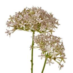 Lemon Pavilion Furniture and Decor Crown Hydrangea (Single Stem Flower) - L16 x W18 x H71 cm - Lilac - thumbnail 2