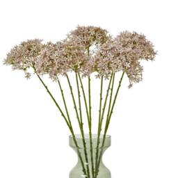 Lemon Pavilion Furniture and Decor Crown Hydrangea (Single Stem Flower) - L16 x W18 x H71 cm - Lilac - thumbnail 3