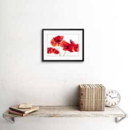 "Artery8 Wall Art Print Photo Nature Flower Poppy Heads Red Petals Artwork Framed 9X7 Inch in Black - Size: W7"" x H9""" - thumbnail 2