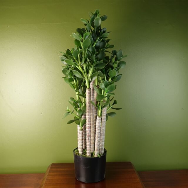 Leaf Artificial Deluxe 75cm Green Jade Plant - image 1