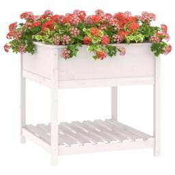 Berkfield Home Planter with Shelf White 82.5x82.5x81 cm Solid Wood Pine - thumbnail 4