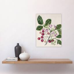 "Artery8 New Zealand Puriri Vitex Lucens Flowers Featon Wall Art Poster Print in Beige - Size: W12"" x H16""" - thumbnail 4