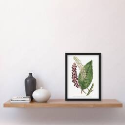 Artery8 Francis Sansom American Pokeweed Vintage Botanical Framed Art Print in White - Size: A4 - thumbnail 4