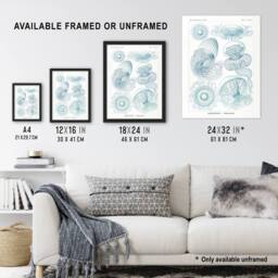 "Artery8 Aequoreidae Jellyfish Marine Life Species Haeckel Wall Art Print in White - Size: W18"" x H24""" - thumbnail 3