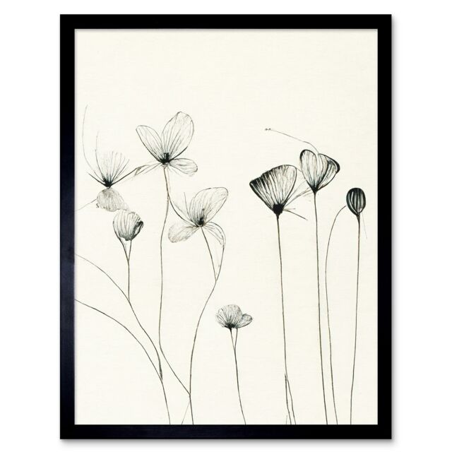 "Artery8 Wall Art Print Stylish Flower Line Drawing With Black Ink Art Framed - Size: W12"" x H16""" - image 1