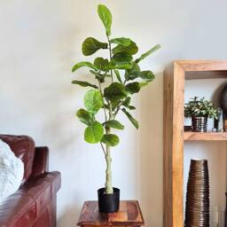 Voltico Artificial Fiddle Leaf Fig Tree 125cm in Pot Faux Plant in Green - thumbnail 2