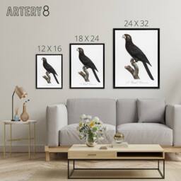 "Artery8 The Greater Vasa Parrot Francois Levaillant Framed Canvas Wall Art in White - Size: W12"" x H16""" - thumbnail 4