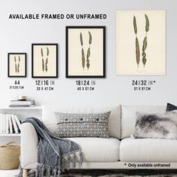 "Artery8 Vintage Botanical Croton Interruptum Leaf Fawcett Wall Art Poster in Beige - Size: W18"" x H24""" - thumbnail 3