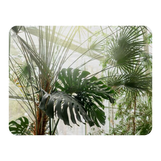 Benjamin Tate Design Green plants in botanical garde Designer Blanket in Natural - Size: 120 cm x 150 cm - image 1