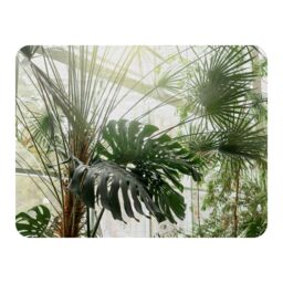 Benjamin Tate Design Green plants in botanical garde Designer Blanket in Natural - Size: 120 cm x 150 cm - thumbnail 1