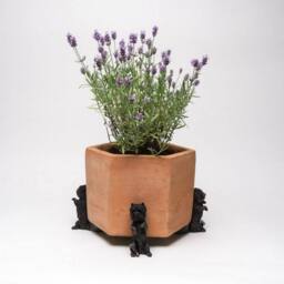 Jardinopia West Highland Terrier Plant Pot Feet - Set of 3 in Black - thumbnail 5