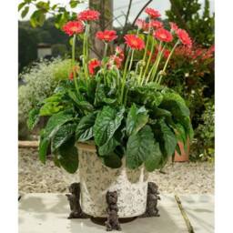 Jardinopia West Highland Terrier Plant Pot Feet - Set of 3 in Black - thumbnail 2
