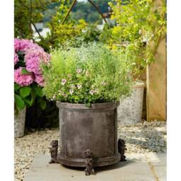 Jardinopia West Highland Terrier Plant Pot Feet - Set of 3 in Black - thumbnail 4