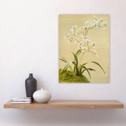 "Artery8 Frederick Sander Odontoglossum Ramosissimum Orchid Wall Art Print - Size: W12"" x H16""" - thumbnail 4