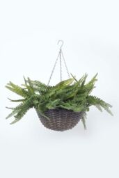 Homescapes Boston Fern Artificial Hanging Basket, 65 cm in Green - thumbnail 1