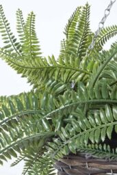 Homescapes Boston Fern Artificial Hanging Basket, 65 cm in Green - thumbnail 4