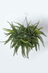 Homescapes Boston Fern Artificial Hanging Basket, 65 cm in Green - thumbnail 2