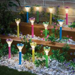 Gainsborough Set of 12 Solar Flower Stake Lights with Warm White LEDs - thumbnail 1