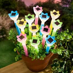 Gainsborough Set of 12 Solar Flower Stake Lights with Warm White LEDs - thumbnail 2