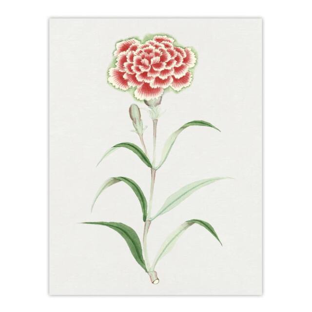 "Artery8 Carnation Flower Vintage Japan Wall Art Print Japanese Botanical in Blue - Size: W24"" x H32""" - image 1