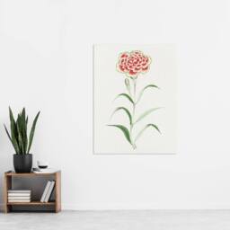 "Artery8 Carnation Flower Vintage Japan Wall Art Print Japanese Botanical in Blue - Size: W24"" x H32""" - thumbnail 4