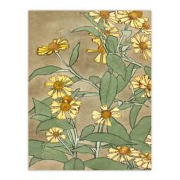 Artery8 Hannah Borger Overbeck Framed Wall Art Daisies with Yellow Petals - Size: A4 - thumbnail 3