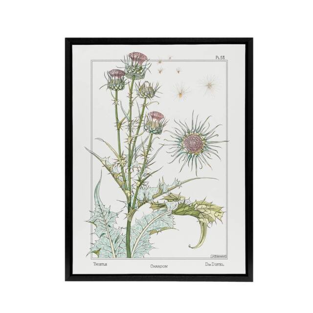 "Artery8 Thistle Flower Framed Canvas Wall Art Print Vintage Floral Verneuil in White - Size: W12"" x H16""" - image 1