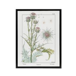 "Artery8 Thistle Flower Framed Canvas Wall Art Print Vintage Floral Verneuil in White - Size: W12"" x H16""" - thumbnail 1