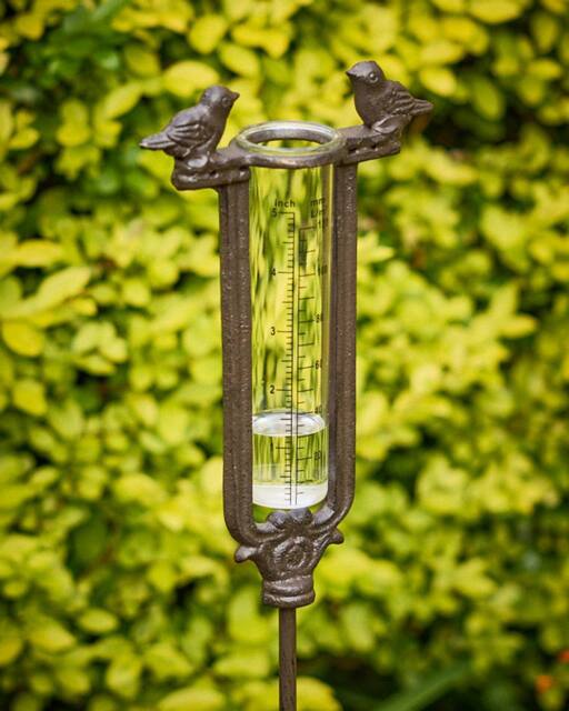 Dibor Cast Iron Bird Standing Rain Gauge Garden Ornament in Brown - image 1