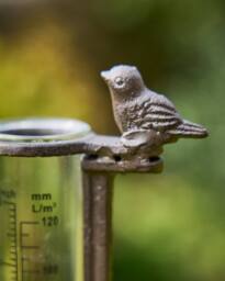 Dibor Cast Iron Bird Standing Rain Gauge Garden Ornament in Brown - thumbnail 5