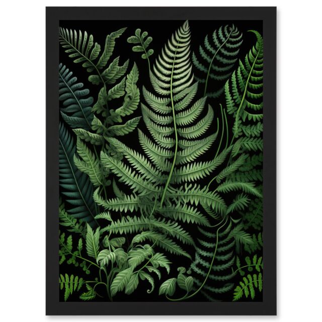 Artery8 Fern Fronds Illustration Ernst Haeckel Style Artwork Framed Wall Art Print A4 in Black - image 1