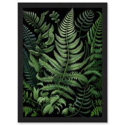 Artery8 Fern Fronds Illustration Ernst Haeckel Style Artwork Framed Wall Art Print A4 in Black - thumbnail 1