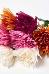 Homescapes Set of 4 Artificial Autumn Chrysanthemum Stems - thumbnail 3