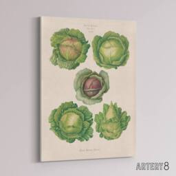 "Artery8 Cabbages Botanical Kitchen Ernst Benary Canvas Wall Art Print in White - Size: W24"" x H32""" - thumbnail 2