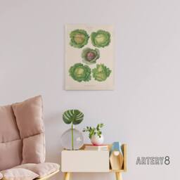 "Artery8 Cabbages Botanical Kitchen Ernst Benary Canvas Wall Art Print in White - Size: W24"" x H32""" - thumbnail 3