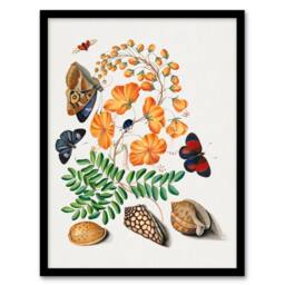 Artery8 Flowers Butterflies & Seashells Bolton Framed Wall Art Print - Size: A4 - thumbnail 1