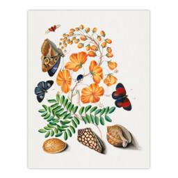 Artery8 Flowers Butterflies & Seashells Bolton Framed Wall Art Print - Size: A4 - thumbnail 3