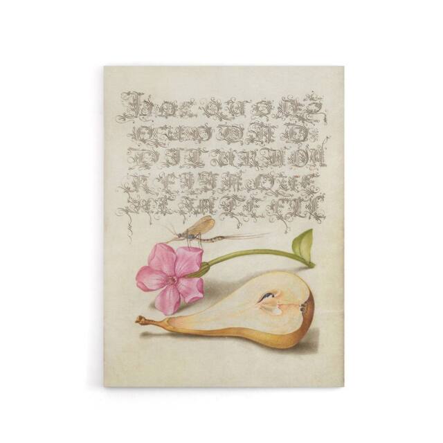 "Artery8 Mayfly Red Campion & Pear Calligraphy Canvas Wall Art Print in Beige - Size: W12"" x H16""" - image 1
