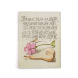 "Artery8 Mayfly Red Campion & Pear Calligraphy Canvas Wall Art Print in Beige - Size: W12"" x H16""" - thumbnail 1